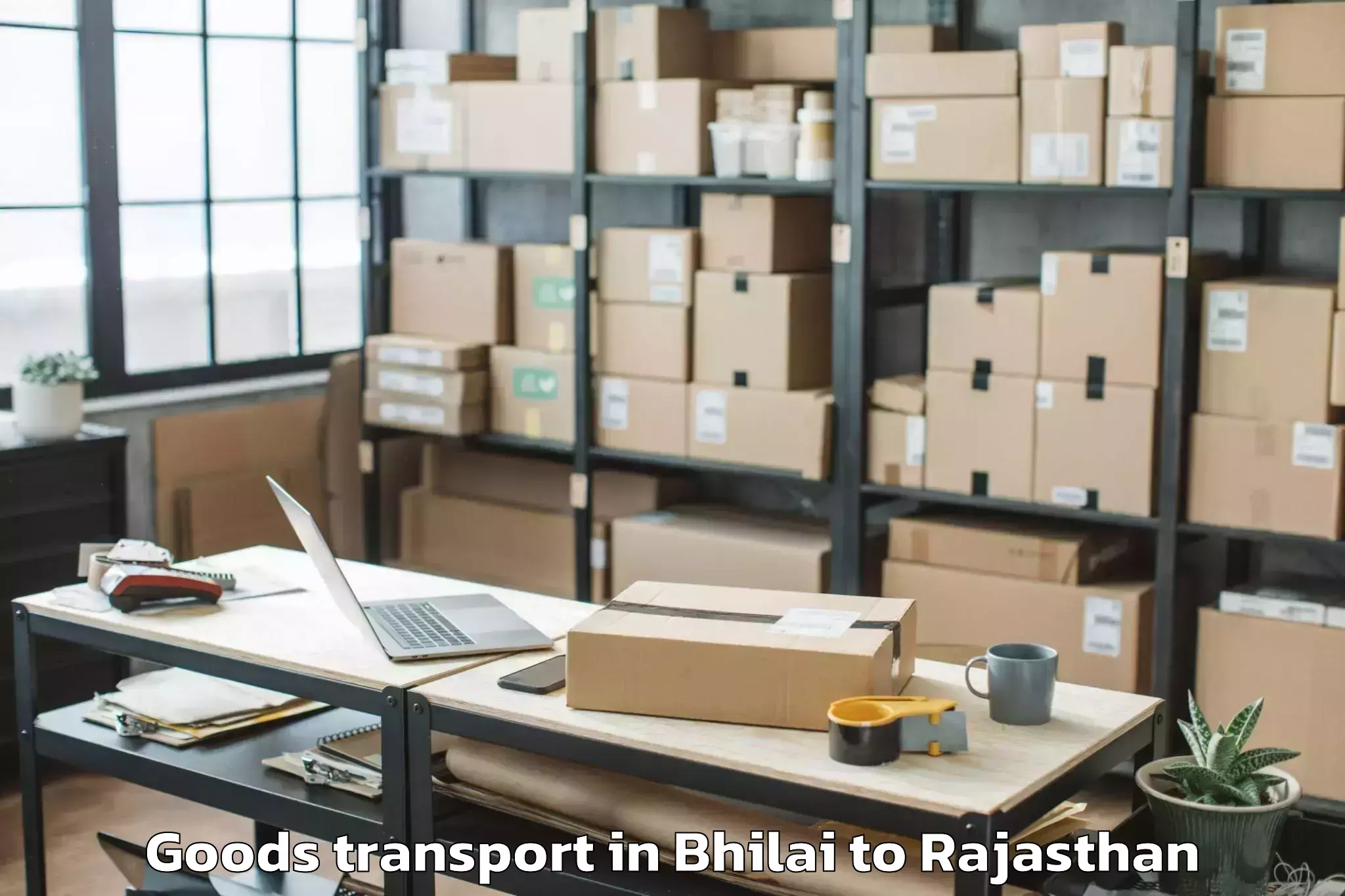 Leading Bhilai to Sojat Goods Transport Provider